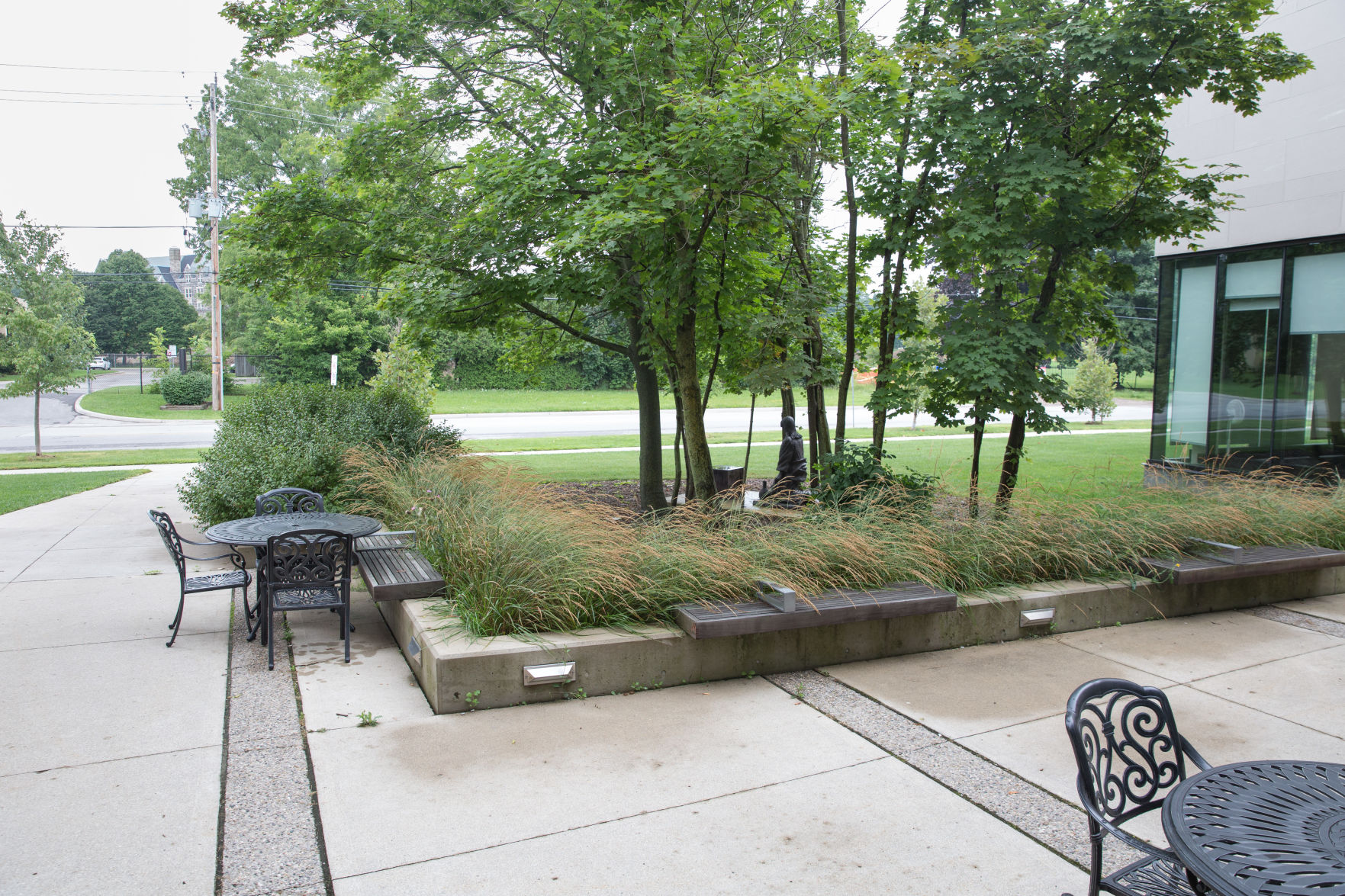 Campus' greenest spots to study (photo 8, King's).jpg